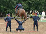 En nu maar hopen dat dat paard niet bijziend is